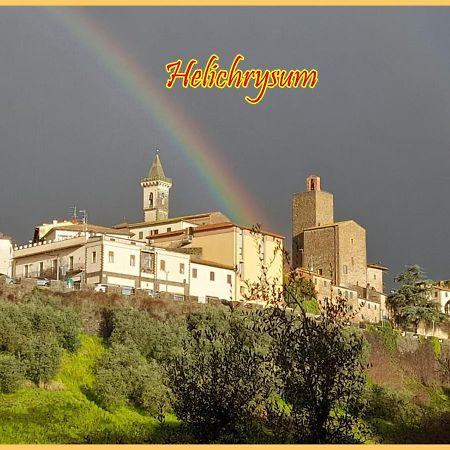 Helichrysum Bed & Breakfast Vinci Bagian luar foto