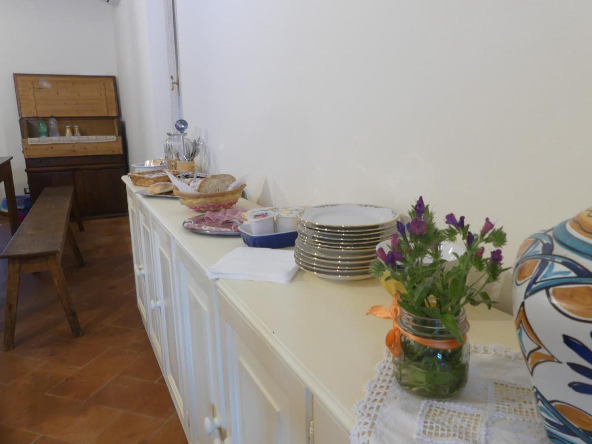 Helichrysum Bed & Breakfast Vinci Bagian luar foto