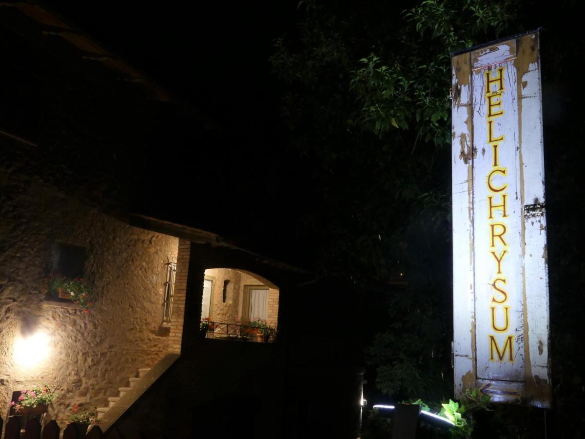 Helichrysum Bed & Breakfast Vinci Bagian luar foto
