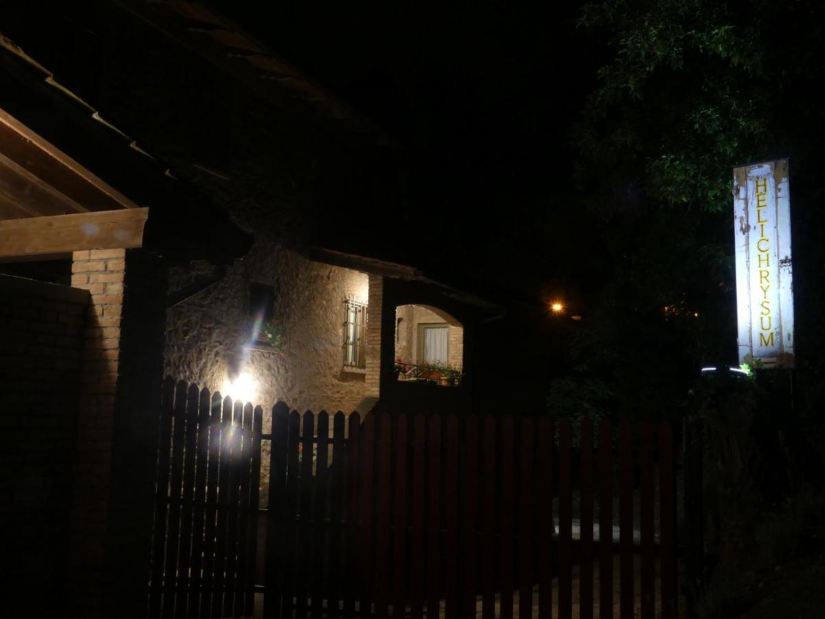 Helichrysum Bed & Breakfast Vinci Bagian luar foto