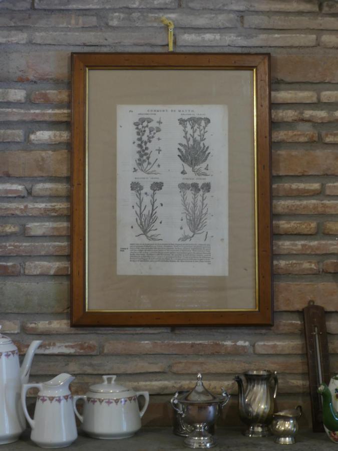 Helichrysum Bed & Breakfast Vinci Bagian luar foto