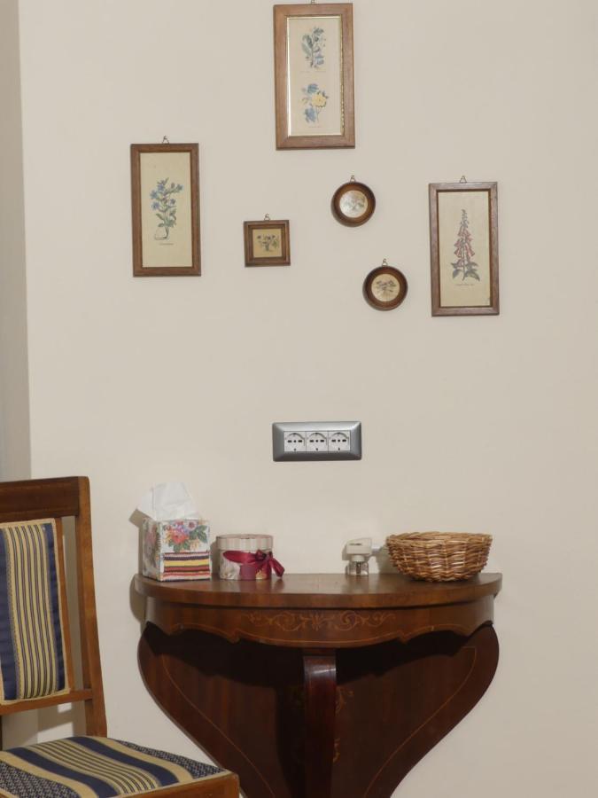 Helichrysum Bed & Breakfast Vinci Bagian luar foto