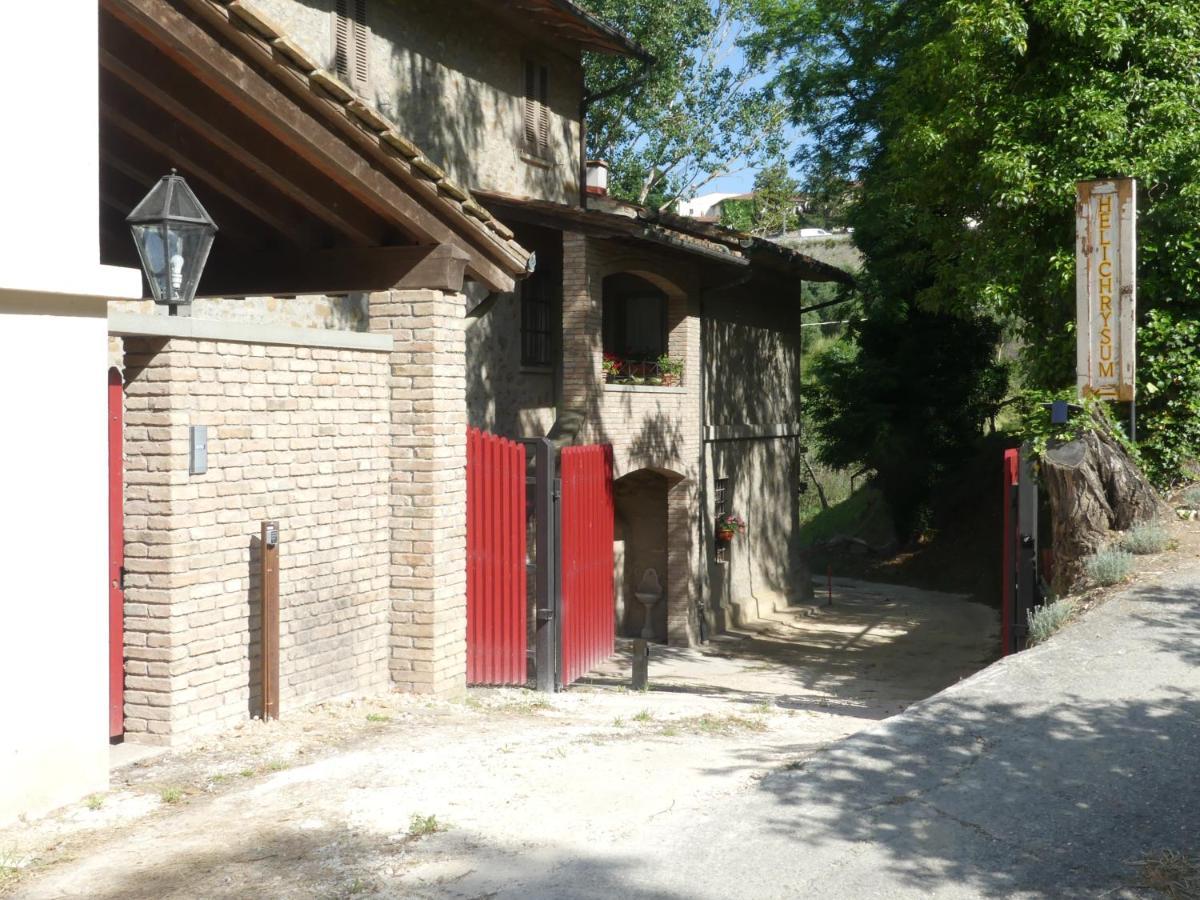Helichrysum Bed & Breakfast Vinci Bagian luar foto