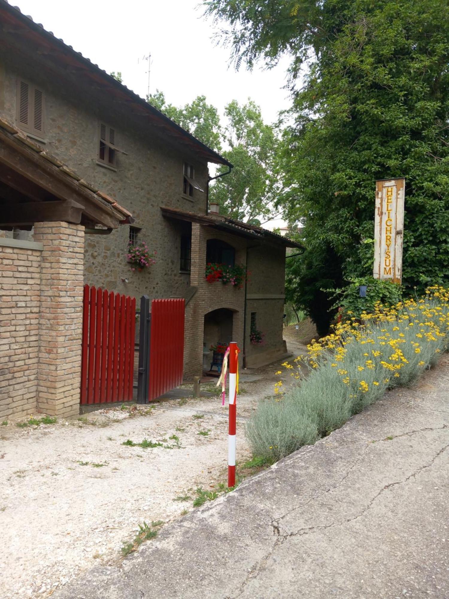 Helichrysum Bed & Breakfast Vinci Bagian luar foto