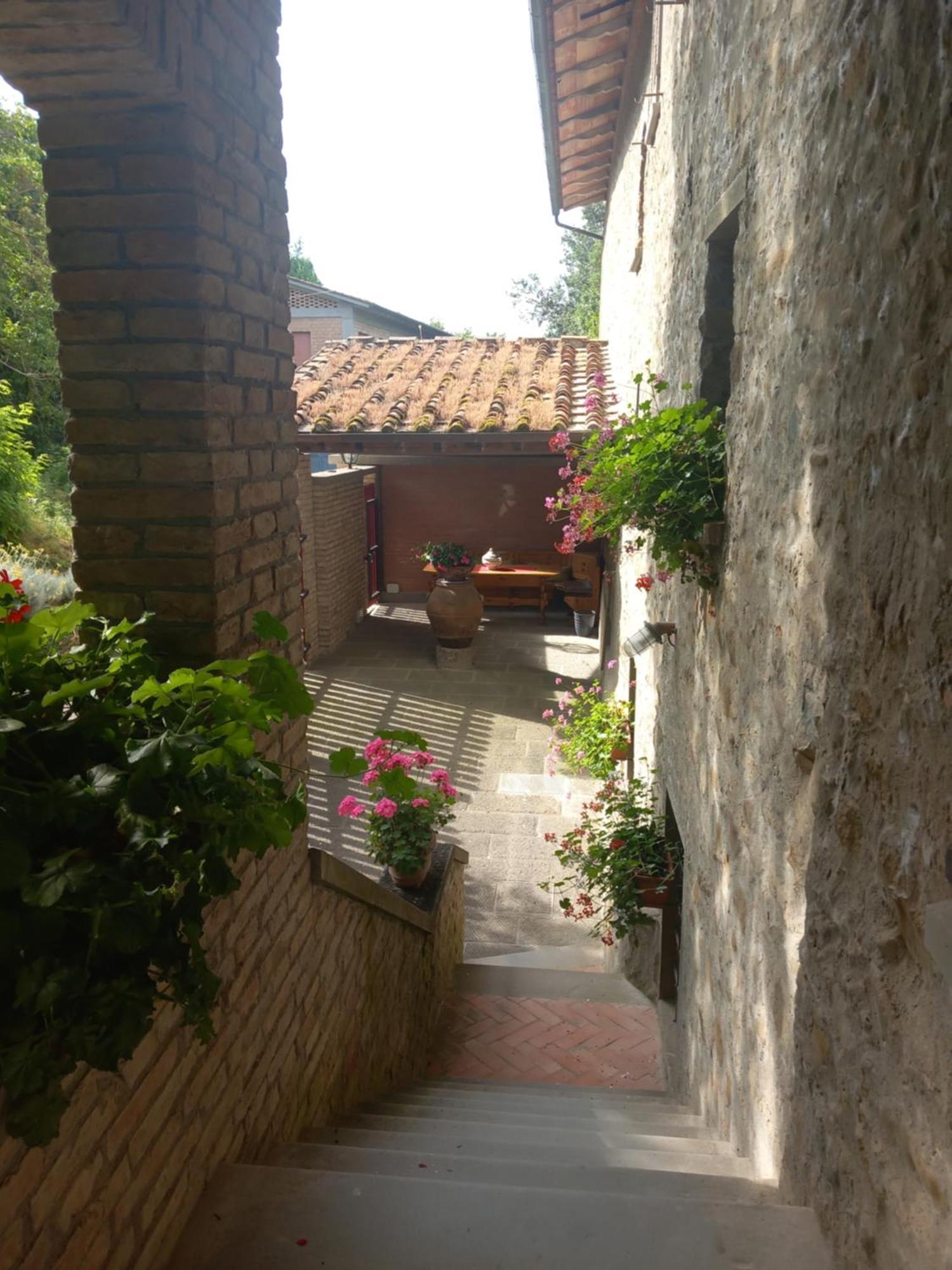 Helichrysum Bed & Breakfast Vinci Bagian luar foto