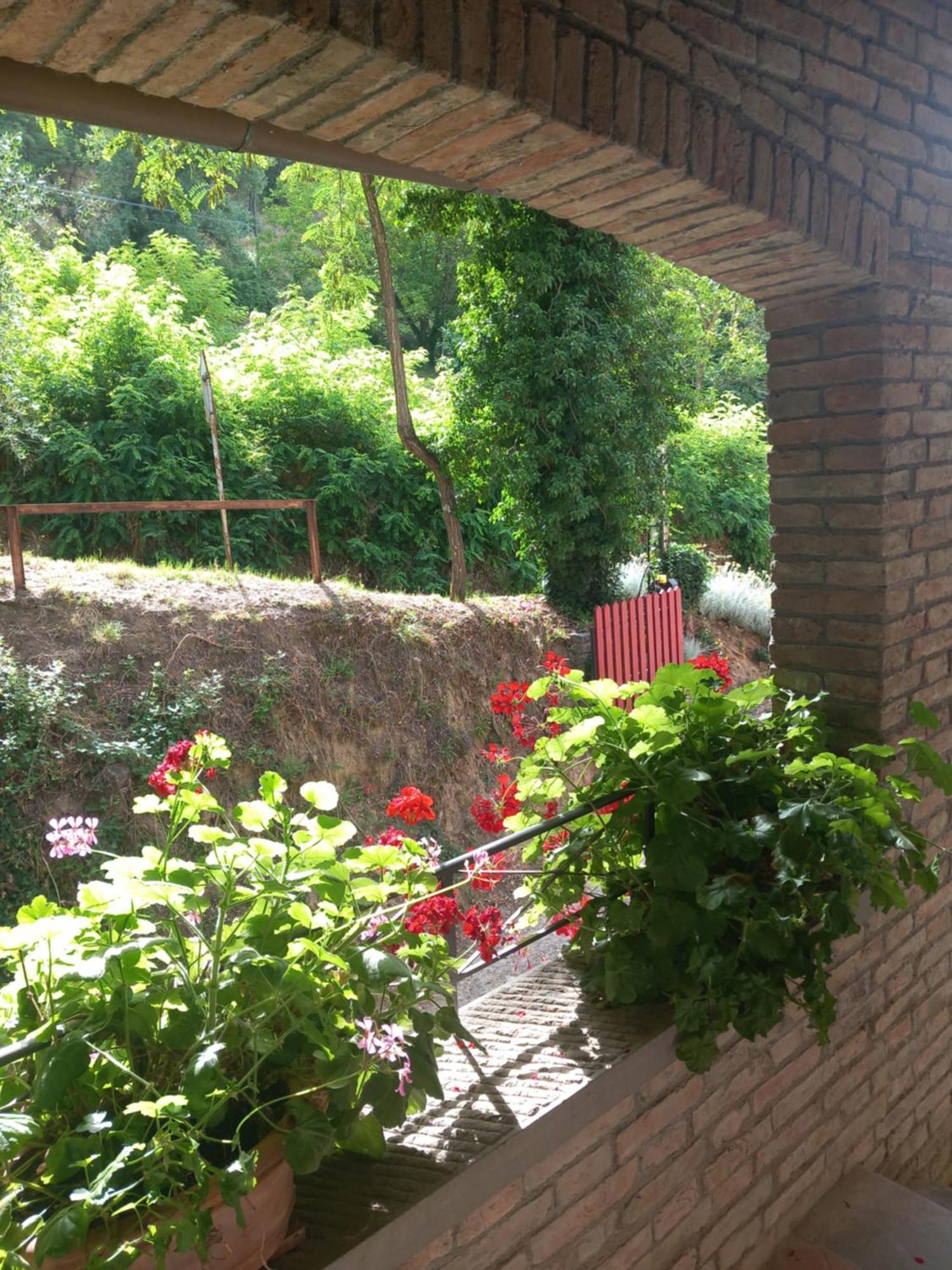 Helichrysum Bed & Breakfast Vinci Bagian luar foto