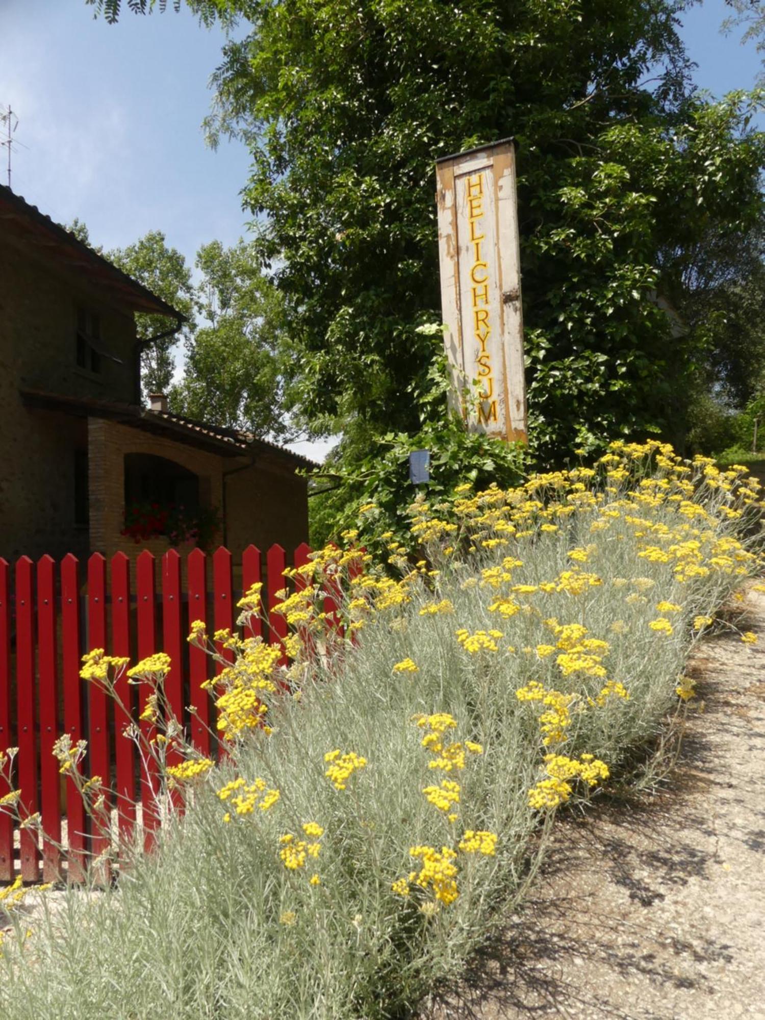 Helichrysum Bed & Breakfast Vinci Bagian luar foto